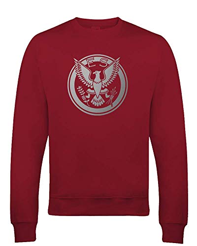 Ice-Tees - Sudadera para niño con logo de la RAF con escudo del águila Rojo rosso 5-6 Años