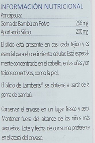 Lamberts Silicio 200 mg - 90 Tabletas