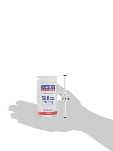 Lamberts Silicio 200 mg - 90 Tabletas