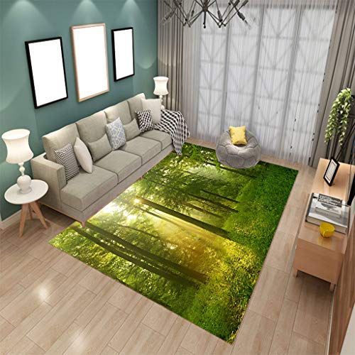 LGXINGLIyidian Alfombra Personalizable Hermoso Bosque Soleado Prado Impresión 3D Sala De Estar Dormitorio Alfombra Cálida 180X180Cm