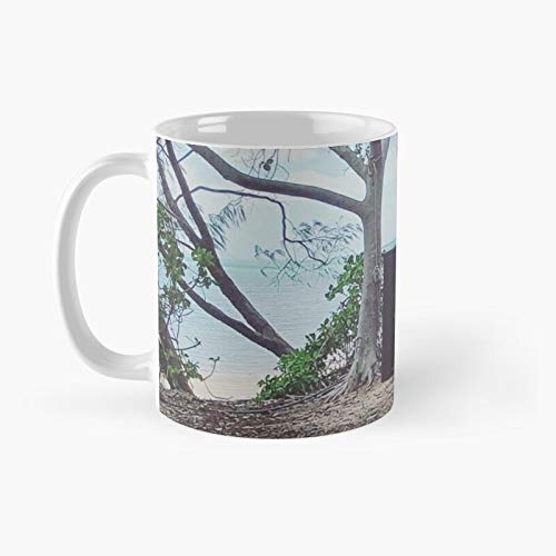 Nelly Bay Piano Classic Mug Birth-day Holi-day Gift Drink Home Kitchen