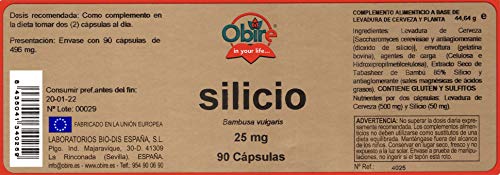 Obire - Silicio 25mg , 90 Cápsulas ( 1 unid. )