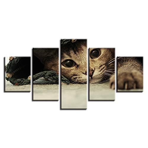 PEJHQY Imágenes de Animales HD Impresión en Lienzo 5 Piezas Gatos Lindos Pinturas Decoración Hogar Sala de Estar o Dormitorio Marco de Arte de Pared Modular,Cuadro en Lienzo Sevilla