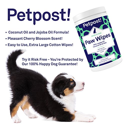 Petpost | Toallita para Patas de Perros - Limpiador para Patas de Perros Nutritivo y Revitalizante con Aceite de Coco, Aceite de Jojoba y Aloe - 70 Almohadillas de Algodón Ultra Suave (Flor de Cerezo)