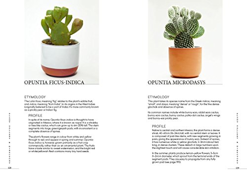 Prick: Cacti and Succulents: Choosing, Styling, Caring