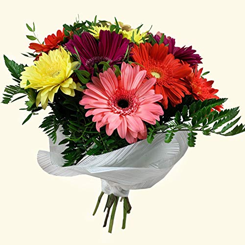 RAMO DE GERBERAS NATURALES - ENTREGA EN 24 HORAS - FLORES FRESCAS