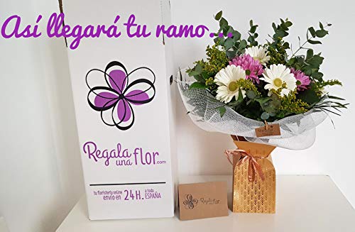 REGALAUNAFLOR-Ramo 6 rosas rojas con osito-FLORES FRESCAS-Entrega en 24 horas de martes a sabado.