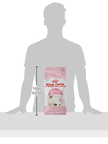 Royal Canin C-58432 Gato - 2 Kg