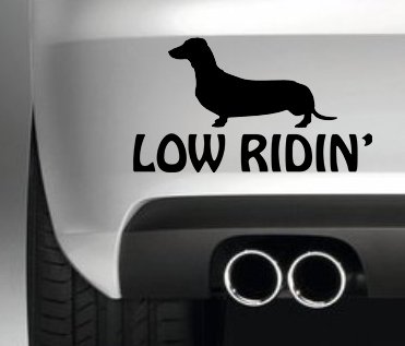 South Coast Stickers Low Ridin' Dachshund STICKER FUNNY BUMPER STICKER CAR VAN 4X4 WINDOW PAINTWORK DECAL EURO LAPTOP DRIVE