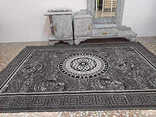 StockAlfombras. Alfombra de Salon Modelo Versac 160x230 (Gris)