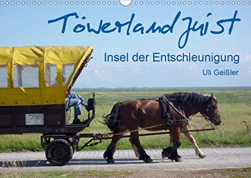 Töwerland Juist (Wandkalender 2021 DIN A3 quer): Insel der Entschleunigung (Monatskalender, 14 Seiten )