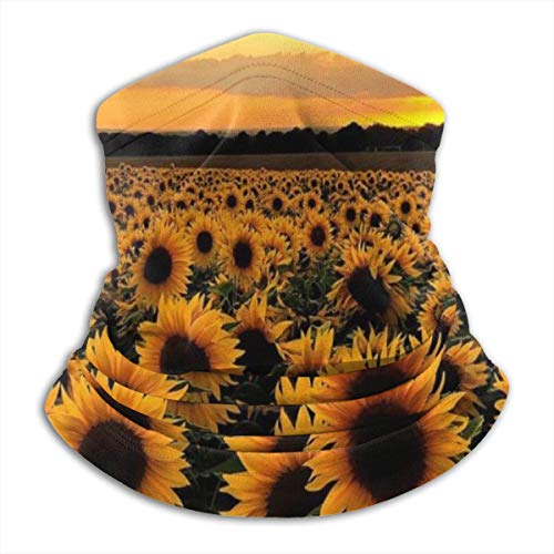 Yuanmeiju Sunflower Field Cuello Calentador Calentador Ultra Suave Poliéster Cuello Calentador Cara Cubierta Cuello Sombreros