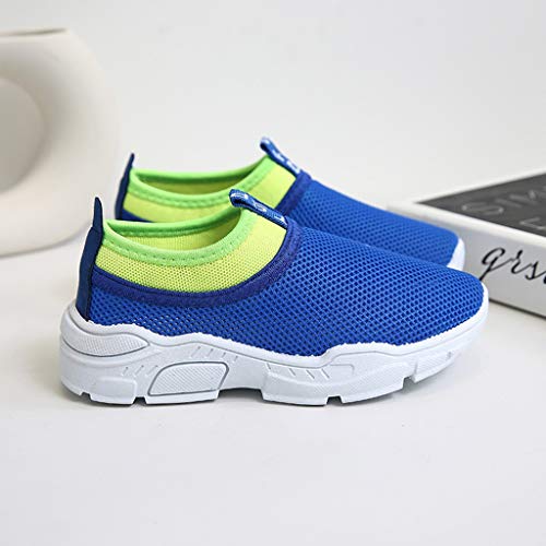 YWLINK NiñOs NiñAs Zapatos, Malla Colores Mezclados Zapatillas Casual Zapatos Al Aire Libre MontañIsmo Corriendo Moda Casual Antideslizante Transpirable Fiesta Regalo(Azul,34EU)