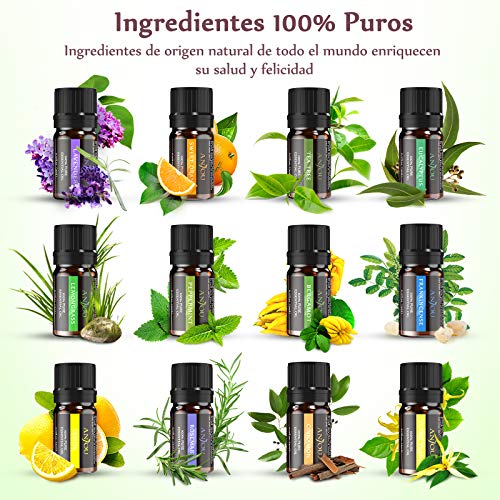 Anjou Aceites Esenciales 12 pcs,Aceites Esenciales para Difusor 100% Natural Pura,Lavanda,Árbol de Té,Eucalipto,Naranja Dulce,Menta,Bergamota,Hierba de Limón,Incienso