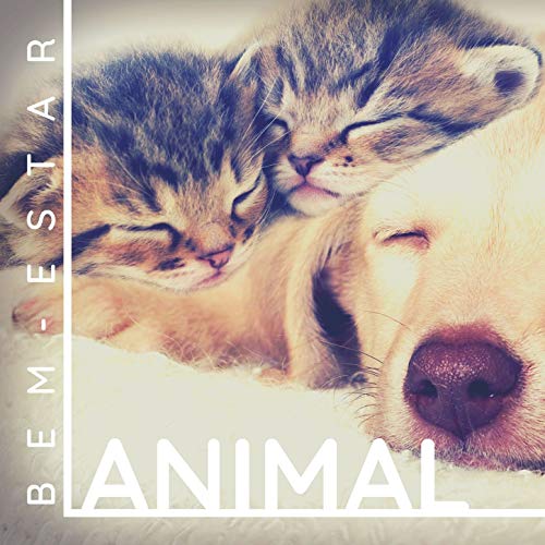 Bem-estar Animal