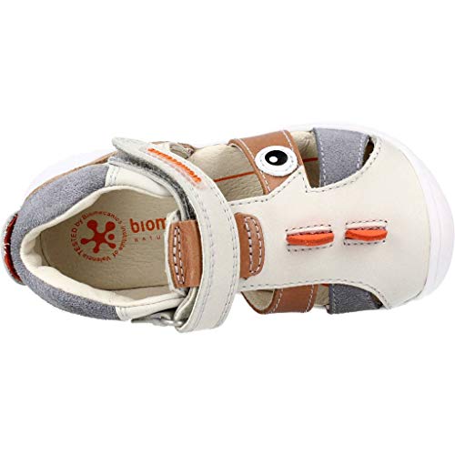 BIOMECANICS CANGREJERA Dinosaurio Unisex-Adulto Hielo 18