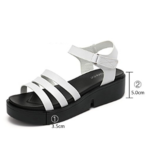 Chanclas Cómodo Sandalias Planas para Estudiantes de Velcro Verano Femenino con Sandalias Gruesas Salvajes La Palabra con Sandalias Romanas (2 Colores Opcionales) (tamaño Opcional) Aumentado