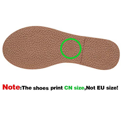 Chanclas para Mujer Playa Piscina Verano 2020 Zapatillas de Estar por Casa Mujer Lino Comodas Sandalias para Mujer de Pala Plano Vestir Flip Flops Baratas Chancletas Elegantes Bohemia