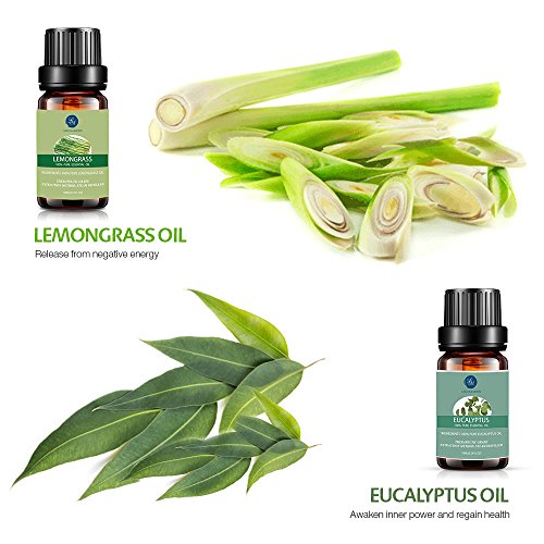 Lagunamoon Aceites Esenciales, Top 6 Set de Regalo de Aceites de Aromaterapia de Lavanda Eucalipto Hierba de Limón Menta Arból de Té y Naranja, Aceites Esenciales para Humidificadores 100% Puros