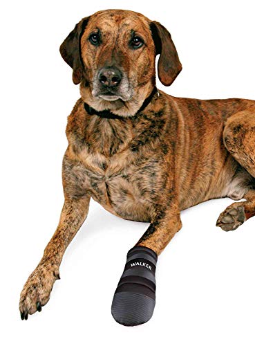 TRIXIE 2 Botas Protectoras Walker, Neopreno, Perros, XXL, Negro, Perro