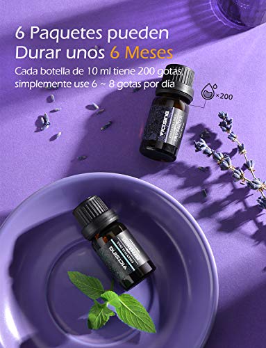 VicTsing Aceites Esenciales para Humidificador,100% Pure Natural,Perfume de Aromaterapia, 6*10ml-Naranja Dulce, Lavanda, Arbol de Té, Hierba de Limón, Eucalipto y Menta,etc. (6)