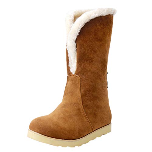 FAMILIZO Botas De Mujer Largas con Tacon Botas De Nieve para Mujer Botas hasta La Rodilla Invierno Calzado Cálido Botas Mujer Elegantes Fiesta