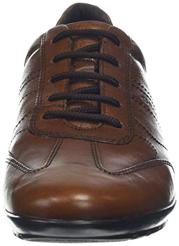 Geox UOMO Symbol B, Oxford Hombre, Marrón (Browncotto C6003), 44 EU