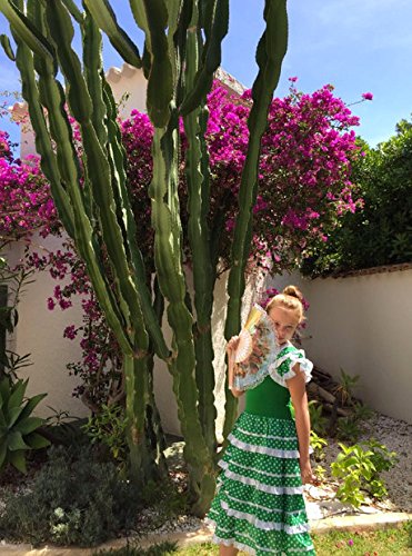 La Senorita Vestido Flamenco Español Traje de Flamenca Chica/niños Verde Blanco (Talla 12, 140-146 - 95 cm, 9/10 años, Verde)