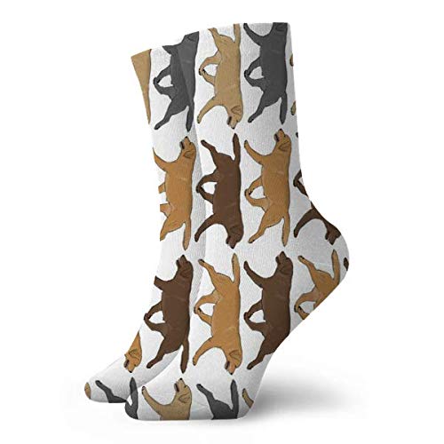 leyhjai Trotting Labrador Retriever Border Vertical White Calcetines Calcetines para mujeres y hombres Calcetines de fútbol Calcetines deportivos de tubo