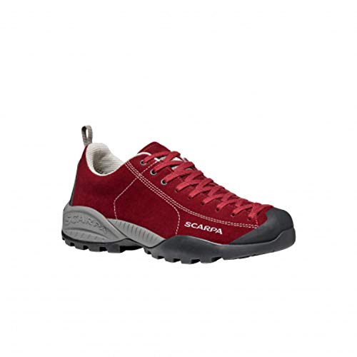 Scarpa Mojito GTX, Zapatillas de Trail Running, Red Velvet-Red Gore-Tex BM Spider Trek, 38.5 EU