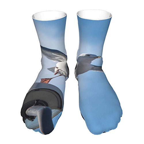 tyui7 Calcetines más gruesos unisex Novedad Calcetines divertidos Calcetines locos 40 Cm Seagull Start Fly Print Pattern Hombres Mujeres Calcetines casuales