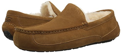 UGG Male Ascot Slipper, Chestnut, 9 (UK)