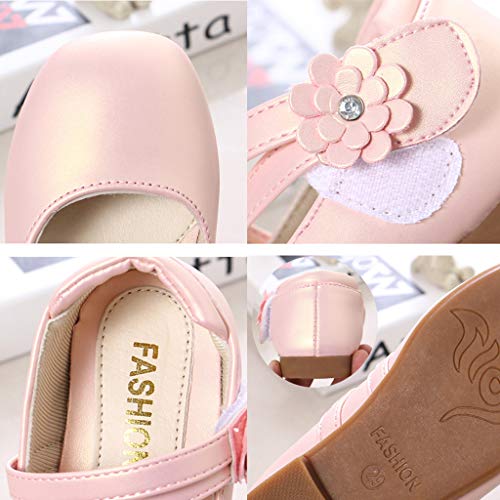 YWLINK Zapatos para NiñOs,NiñAs De Los NiñOs Flores Dulces Zapatos PequeñOs Zapatos De Princesa Zapatos Solos Zapatos Frescos Zapatos De Princesa Zapatos De Baile(Rosado,35EU)