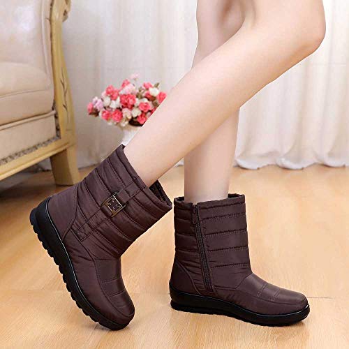 ZODOF Botas de Nieve para Mujer Mujeres Calientes de Invierno Botas para la Nieve Botas Casuales para Mujer Botines cálidos Botas de Mediana Edad