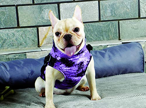 BABYDOG Abrigo Chaqueta para Perro, Caliente para Mascotas, Prenda de Vestir Invierno, Chaqueta de Invierno, Cazadora Perro con Forro Polar, Ropa para Perro, Trenca para Perro. (7L, Morado)