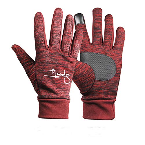 blessvt Guantes térmicos cálidos, Guantes de conducción en Clima frío, Guantes de Invierno para Hombres Mujeres Guantes con Pantalla táctil Guantes cálidos y fríos-Crimson_L