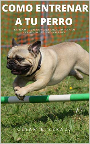 COMO ENTRENAR A TU PERRO: ENTRENAR A TU PERRO NUNCA HABÍA SIDO TAN FÁCIL EN ESTE LIBRO TE DAMOS LAS BASES