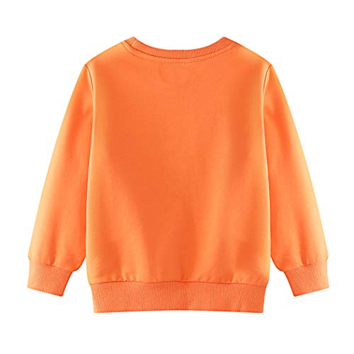 Edjude Invierno Sudaderas para Niña de Manga Larga Otoño Cuello Redondo Arco Iris Jersey Deportiva Suéter Naranja 2-3 Años