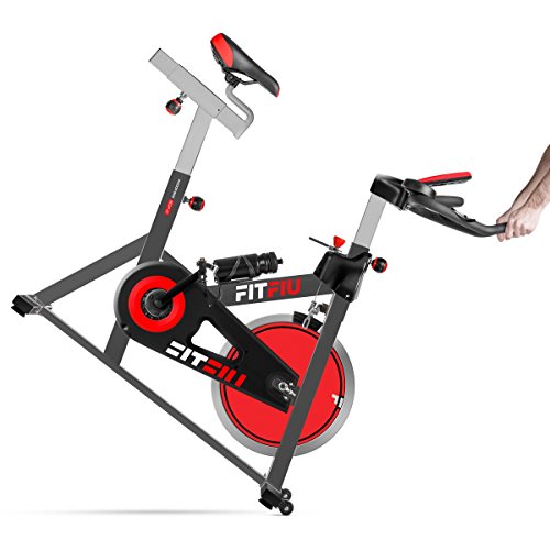 Fitfiu Fitness BESP-22 - Bicicleta indoor ergonómica con disco de inercia de 24 kg y resistencia regulable, Bici de entrenamiento fitness con sillín ajustable, pulsómetro y pantalla LCD