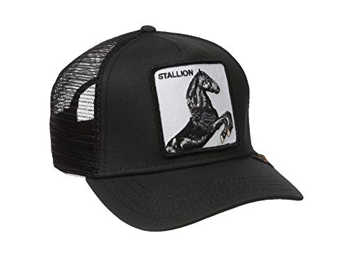 Goorin Bros. Gorra de béisbol Unisex para Adultos. Caballo Negro. Talla única