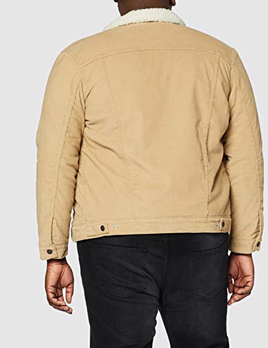 Levi's Type 3 Sherpa Trucker Chaqueta, True Chino Cord Better, M para Hombre