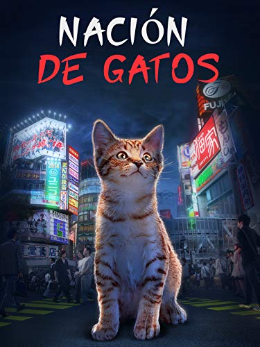 Nación de Gatos