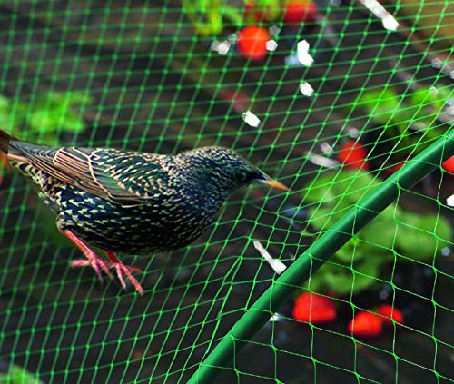 Nortene Malla antipájaros negra 8 x 10m