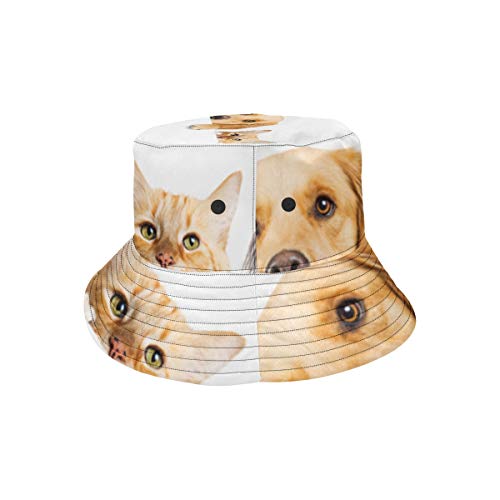 Sombrero Colorido del Cubo Gato y Perro Lindos Mascota Linda Verano Unisex Pesca Sun Top Sombreros del Cubo para Adolescentes Mujeres Gorra de Pescador Deporte al Aire Libre Sombrero de Playa para ni