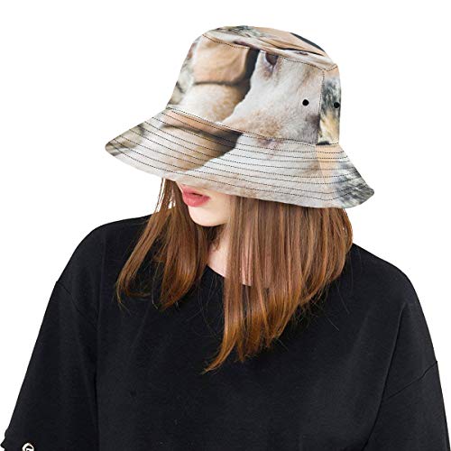 Sombrero para Hombre al Aire Libre Lindo Gato y Perro Mascota Linda Verano Unisex Pesca Sol Top Bucket Sombreros para Adolescentes Mujeres Gorra de Pescador Deporte al Aire Libre Vacaciones Sombrero