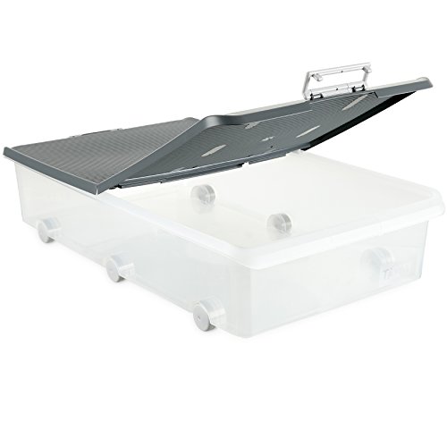 Tatay Caja de Almacenamiento Multiusos bajo Cama Ruedas 63 l de Capacidad plástico Polipropileno Libre de bpa Transparente con Tapa, Gris, 45 x 77 x 18 cm