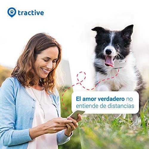 Tractive GPS Dog 4 - Localizador GPS Perros y Seguimiento de Actividad sin límite de Distancia, Resistente al Agua