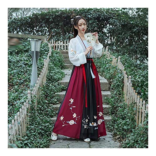 YUNGYE Vestido Hanfu, Camisa De Estilo Tradicional Chino Bordado Grande De Manga For La Mujer, Vestuario De Época De Cosplay De Hadas De Sexo Femenino De La Falda Estilo Antiguo Estudiante