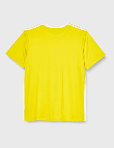 adidas Entrada 18 JSY T-Shirt, Hombre, Yellow/White, M