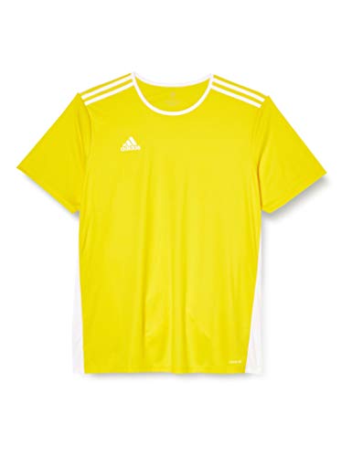 adidas Entrada 18 JSY T-Shirt, Hombre, Yellow/White, M